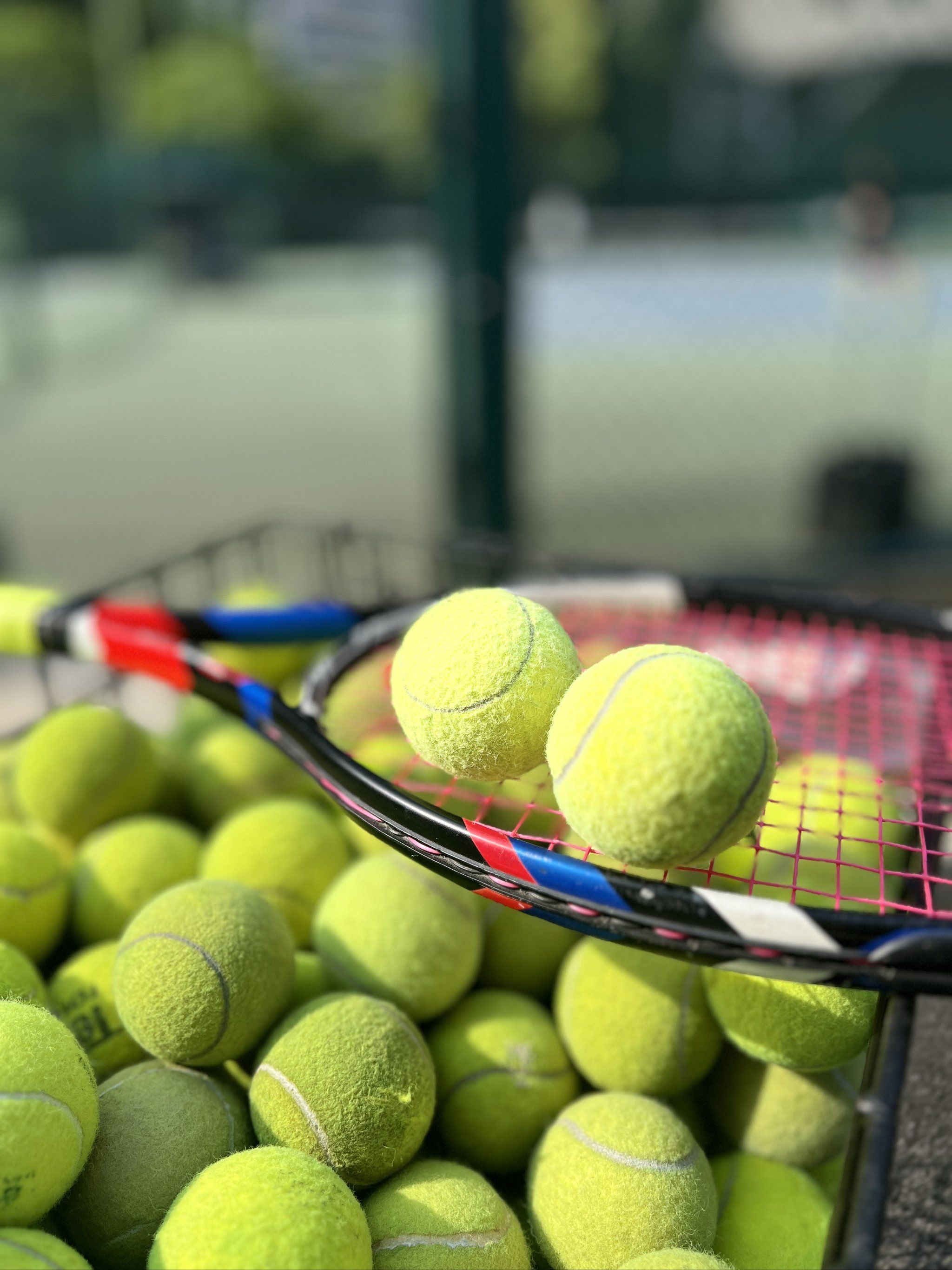 还在比赛中 还在比赛中