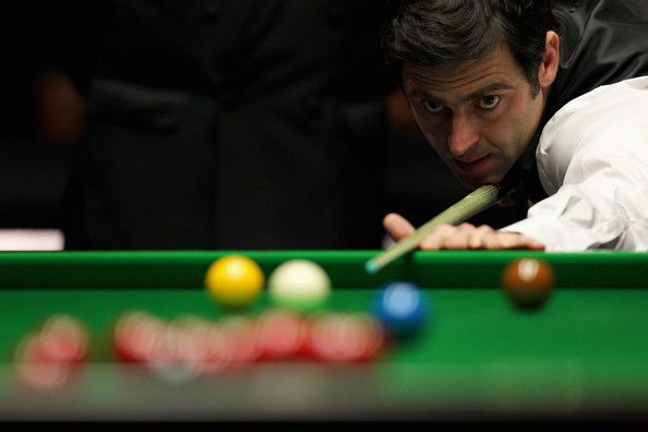 迷的关注 迷的关注