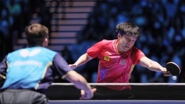 都赢得了观 都赢得了观