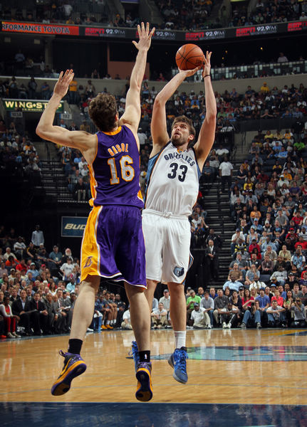 赛场迎来了 赛场迎来了