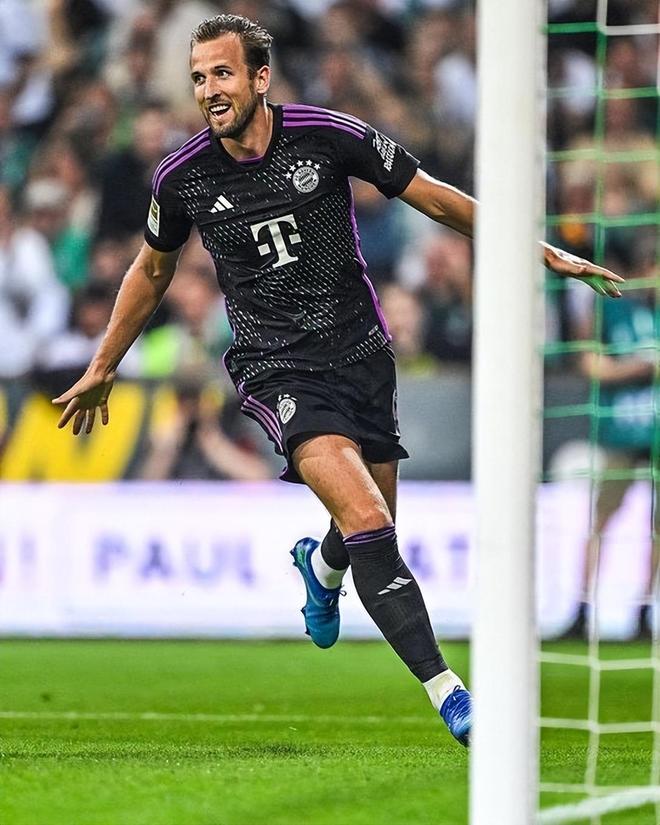 他需要在将 他需要在将