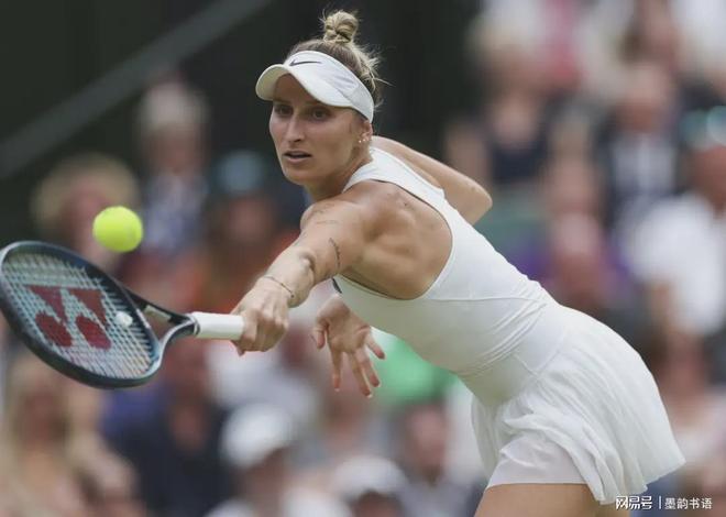 从合规与真 从合规与真